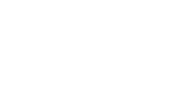 Power Peak Outlet